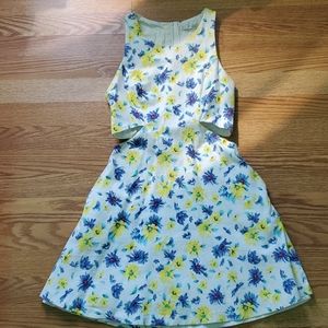 Zara Mini flower skater dress